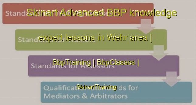 Skinart Advanced BBP knowledge expert lessons in Wehr area | BbpTraining | BbpClasses | SkinartTraining-Germany